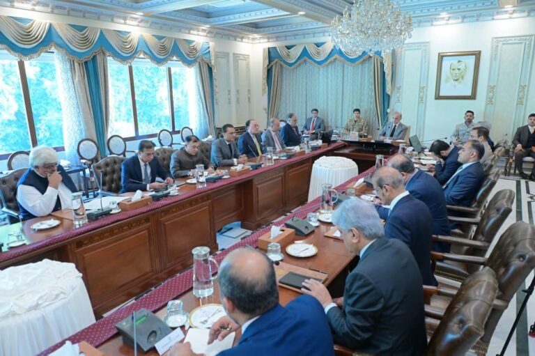 وزیراعظم شہباز شریف کی زیرِ صدارت ایف بی آر کے امور پر ہفتہ وار جائزہ اجلاس