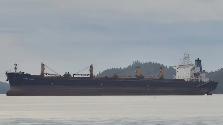 Two rescued after bulk carrier sinks off India