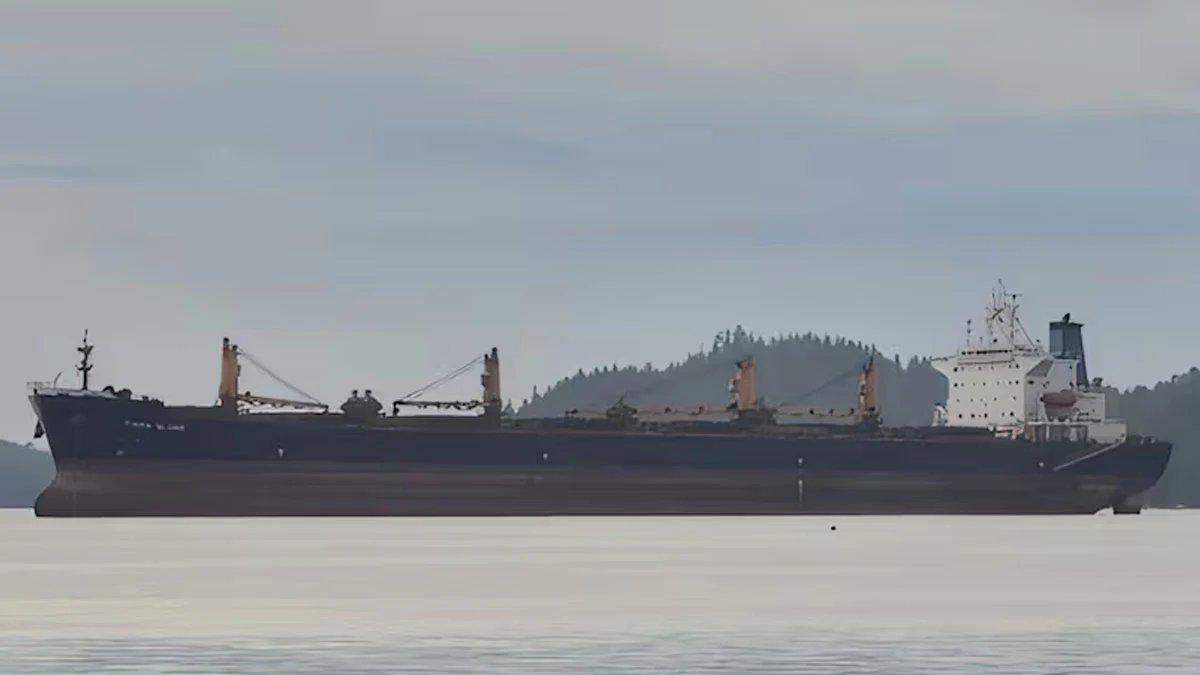 Indian ship sink