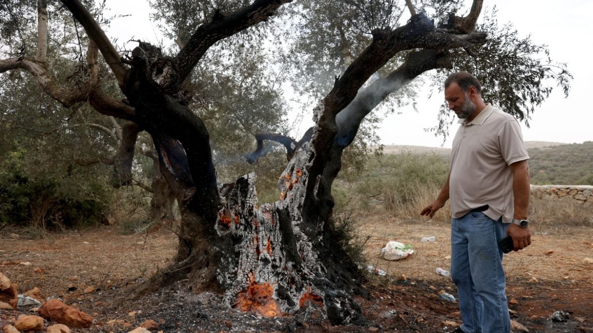 Israeli settlers attack European diplomats
