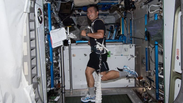 New heart study confirms human bodies can handle Mars gravity after spaceflight
