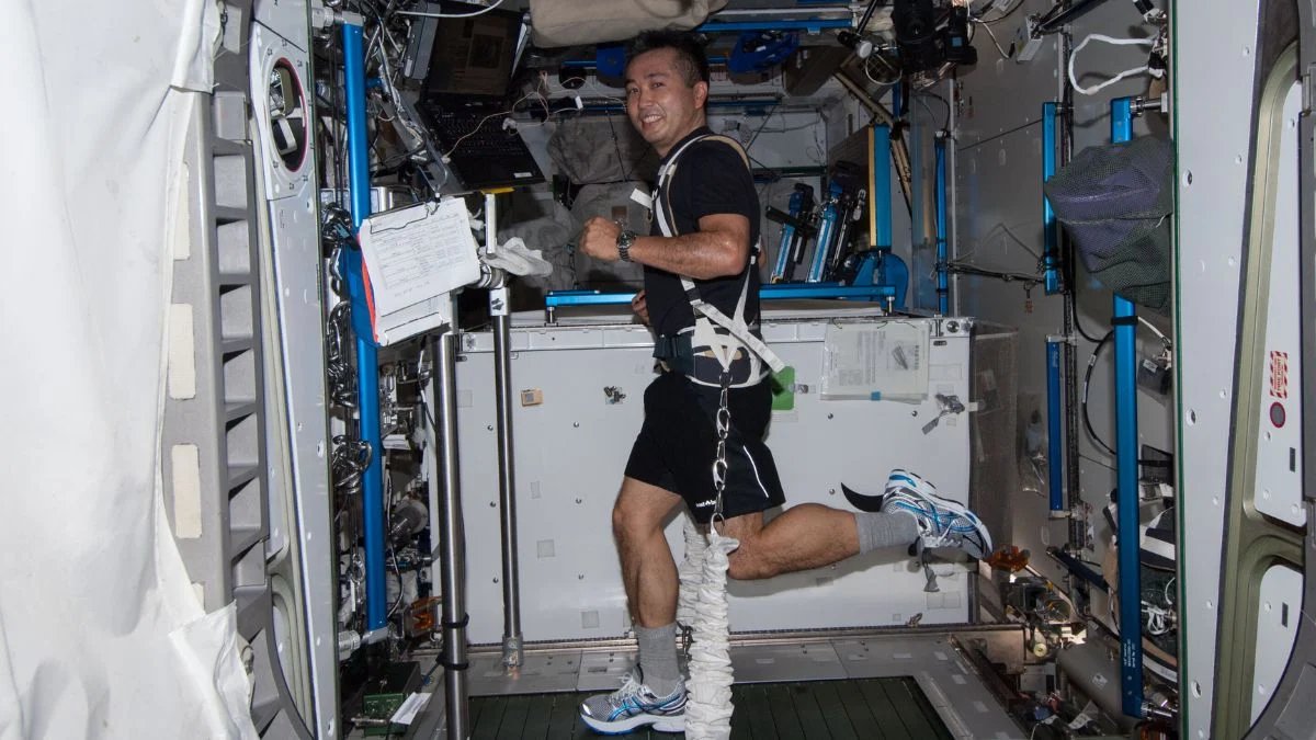 Japan Aerospace Exploration Agency astronaut Koichi Wakata