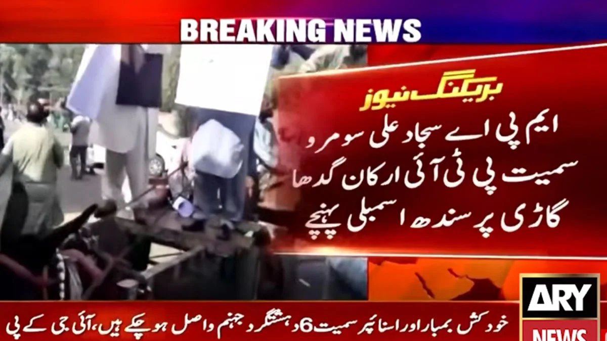 Karachi Donkey