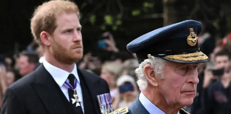 King Charles and Prince Harry