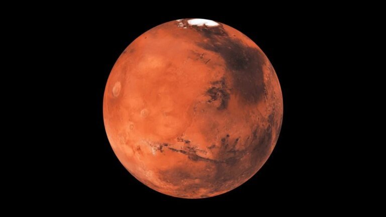 Biotech space research creates new organisms to survive harsh Martian environments