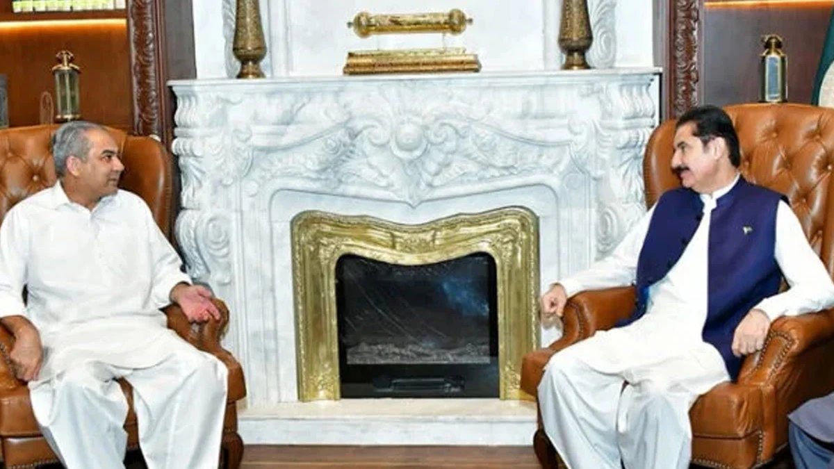 Mohsin Naqvi and Faisal Karim Kundi