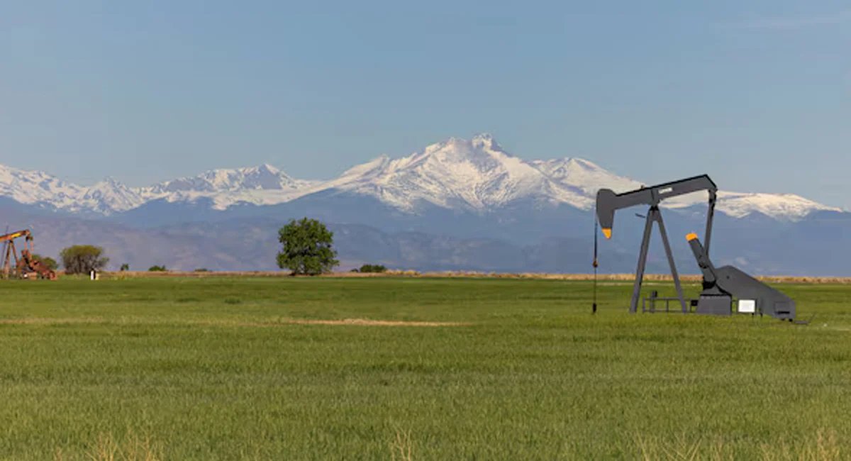 Oil