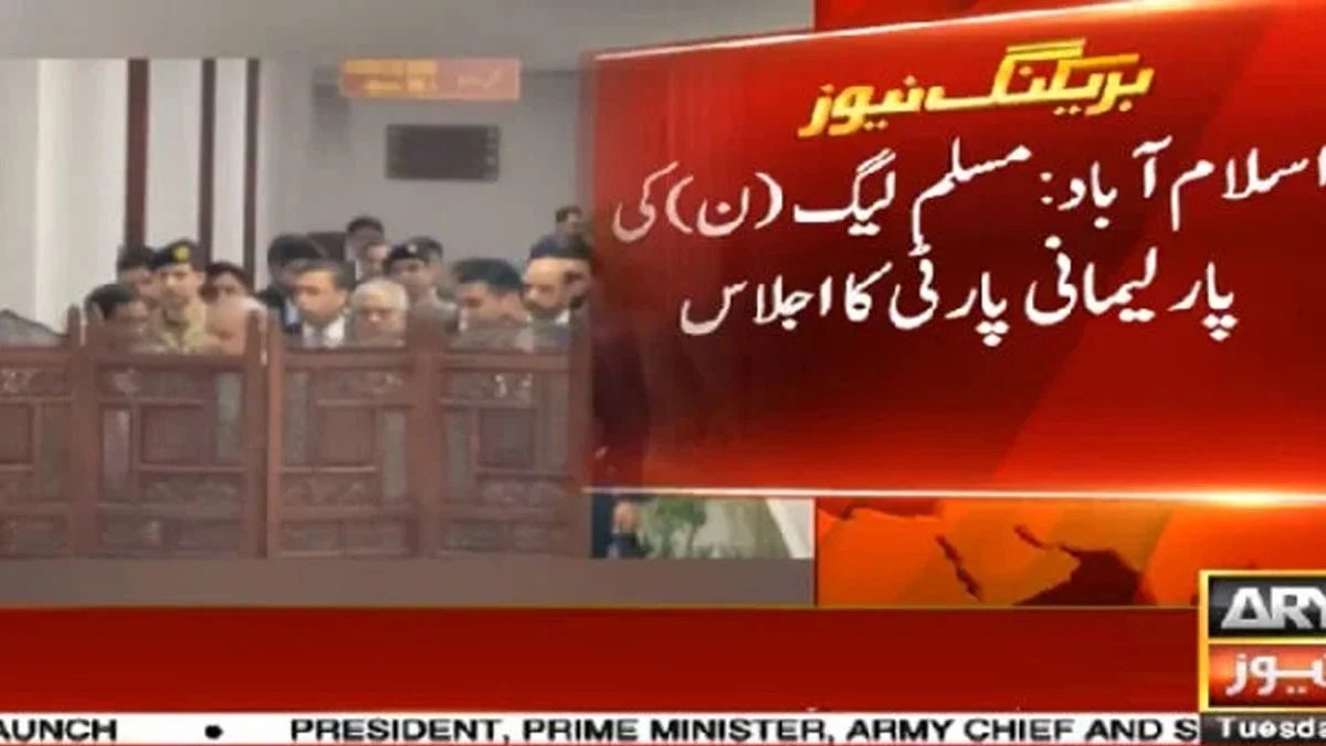 PMLN