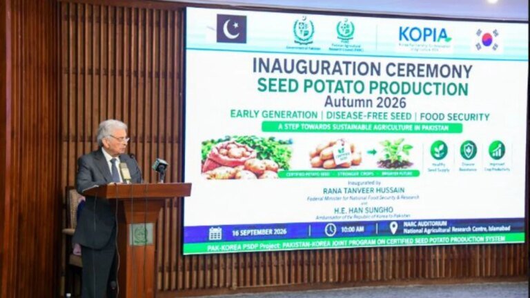 Pakistan and South Korea expand cooperation on potato seed production