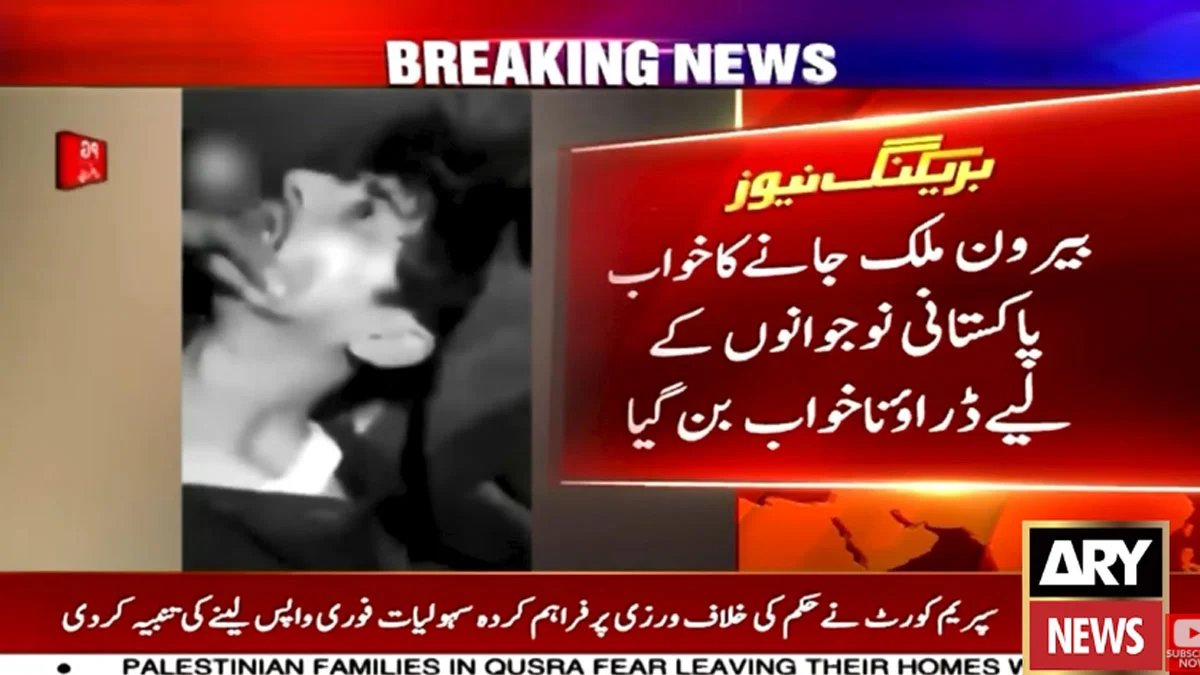 Pakistani Youth
