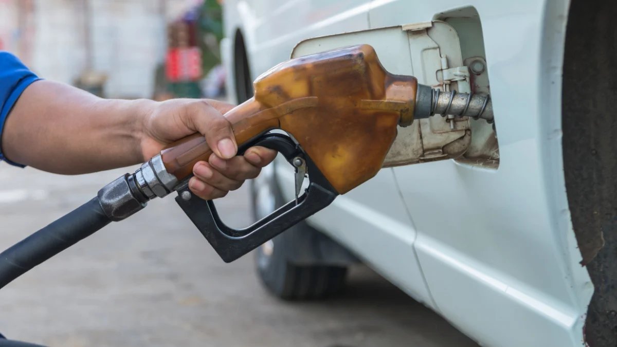 Petrol 2