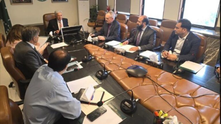 Pakistan seeks closer ties with CIMMYT to boost wheat production