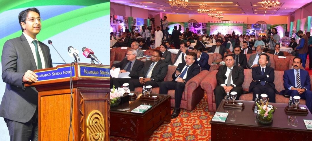 حکومت کی آٹو انڈسٹری کو مکمل تعاون کی یقین دہانی، پیپام سمٹ 2025 اسلام آباد میں منعقد 1 Screenshot 20250820 122404 1