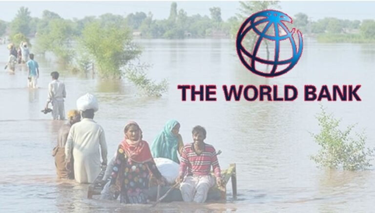 سیلاب کے باعث معاشی ترقی میں کمی اور مہنگائی بڑھنے کا خدشہ ہے، عالمی بینک