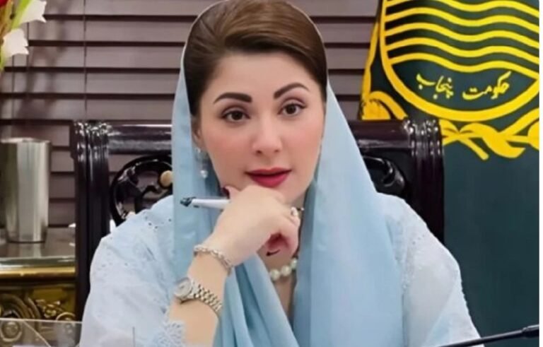 پنجاب حکومت نے مشکل حالات میں مثالی کام کیا، مریم نواز