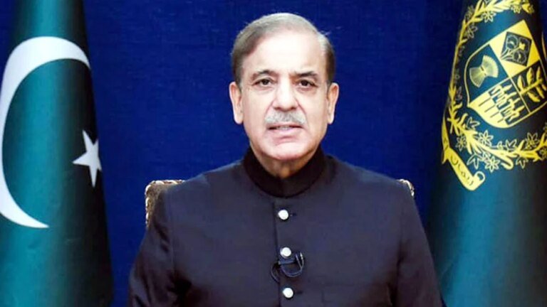 Shehbaz Sharif says efforts were made to reach agreement with Sohail Afridi
