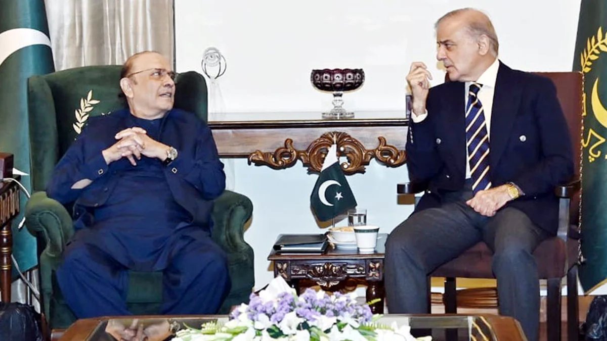 Shehbaz Sharif and Asif Zardari
