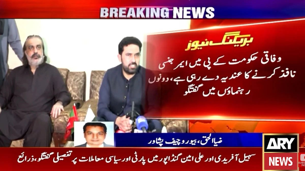 Sohail Afridi and Ali Amin Gandapur