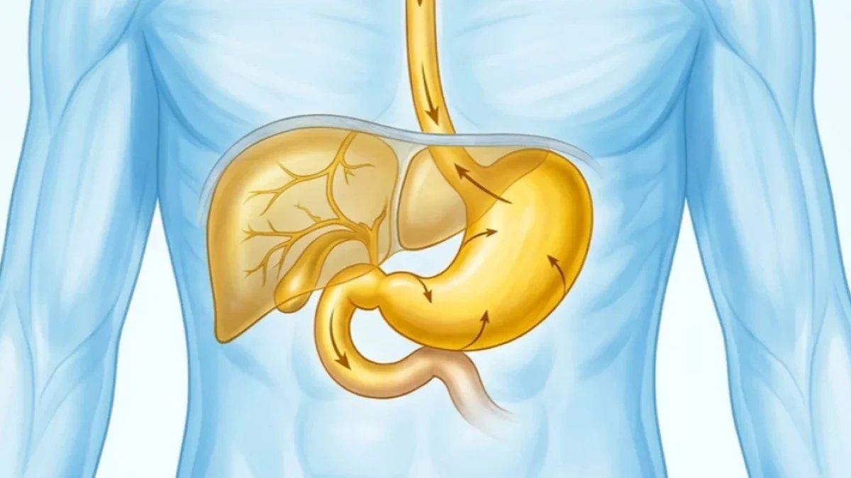 Stomach Cancer