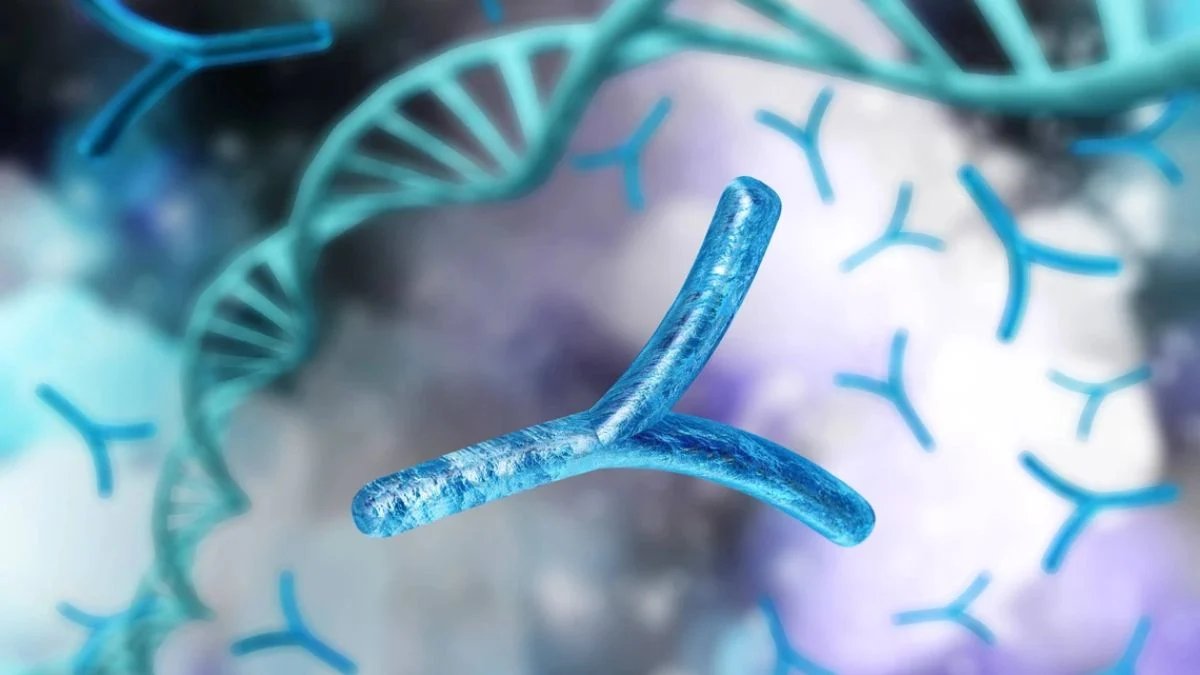 Y chromosomes