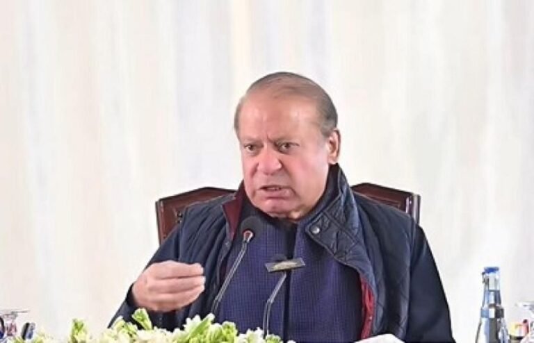 کوشش کروں گا کہ جو وعدے کیے ہیں ان پر پورا اتروں، آزادکشمیر میں ن لیگ کی حکومت ہوگی: نواز شریف