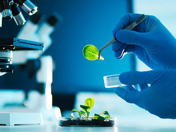 agricultural biotechnologies1779823330 0