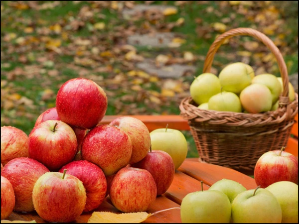 apples1784372113 1