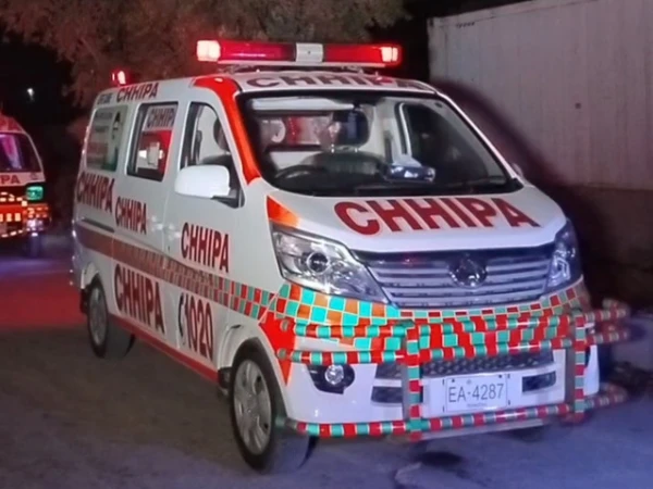chhipa 11753406211 0