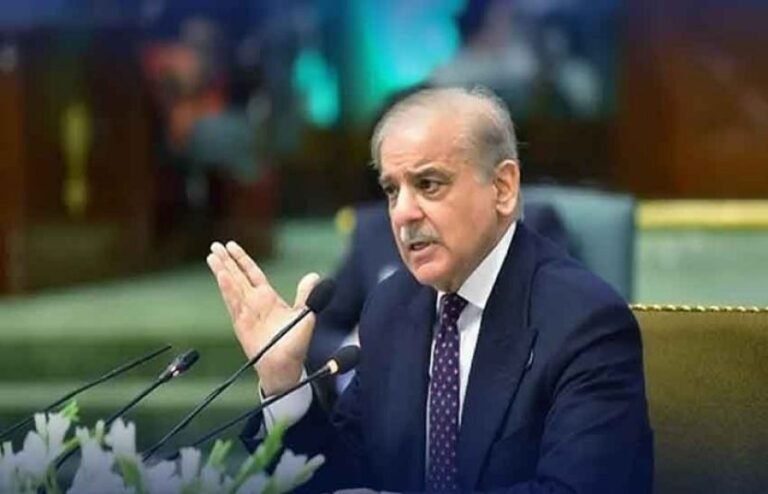 نیشنل یوتھ ایمپلائمنٹ پالیسی کے تحت نوجوانوں کو روزگار کے مواقع مہیا کرنے کے لیے مربوط اور مؤثر اقدامات یقینی بنائے جائیں، وزیراعظم