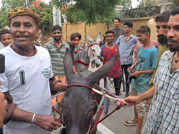 donkey race1786870053 0