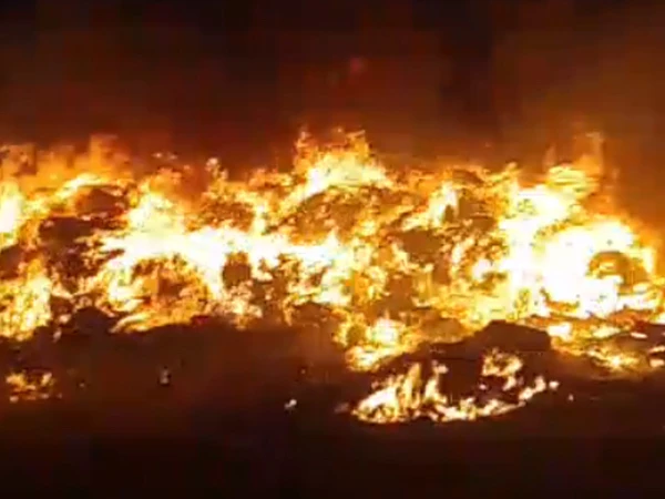 fire in bush1791494380 0