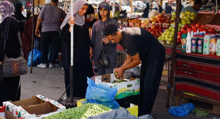 Gazans harvest dregs of olive groves bulldozed and cut off by Israel