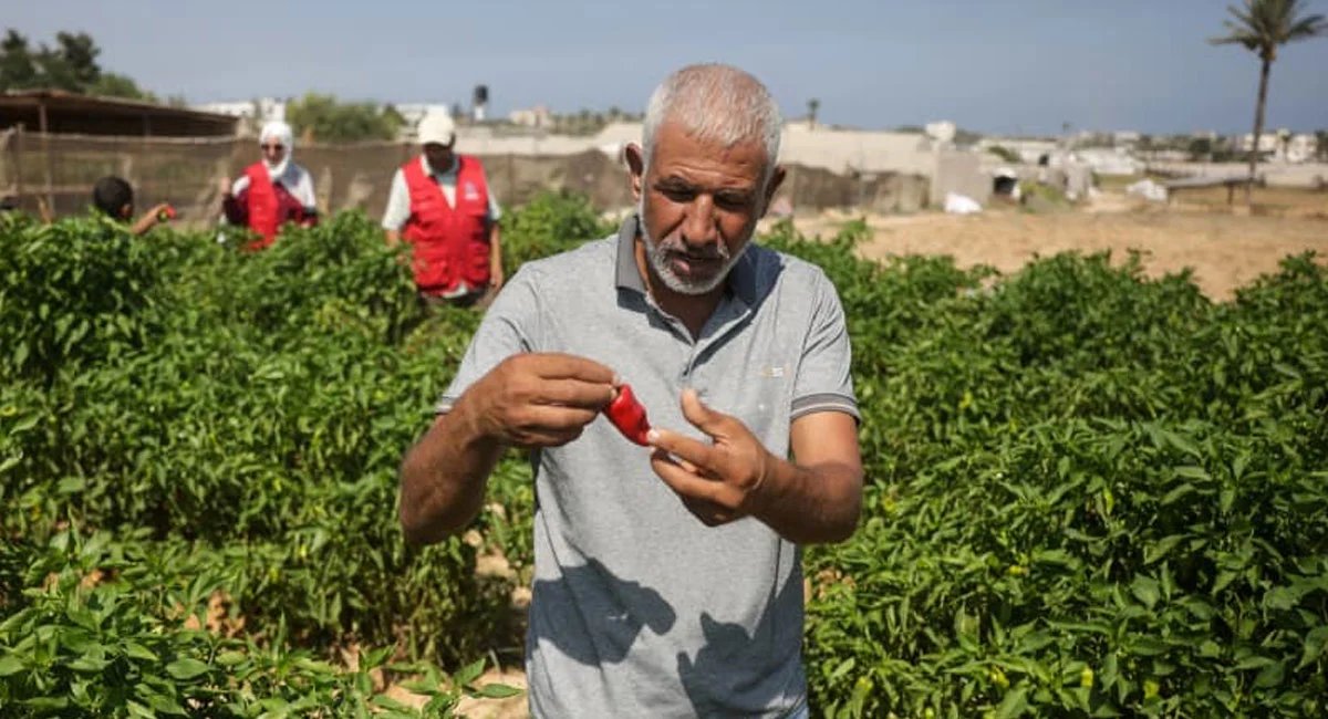 gaza seed bank