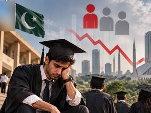 graduate is unemployed1792623678 0