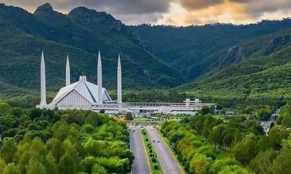 اسلام آباد میں درختوں کی کٹائی: ماحولیاتی بحران کی ایک تصویر 9 images 12 2