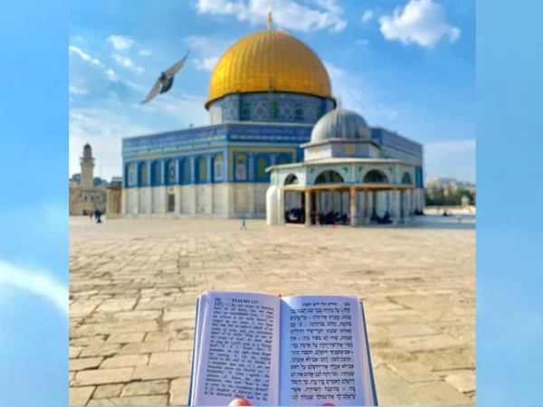jews permit recite holy book prayers in aqsa mosqu1787081447 0