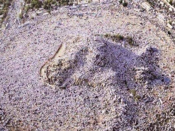 khutba hajj 20261779156097 0