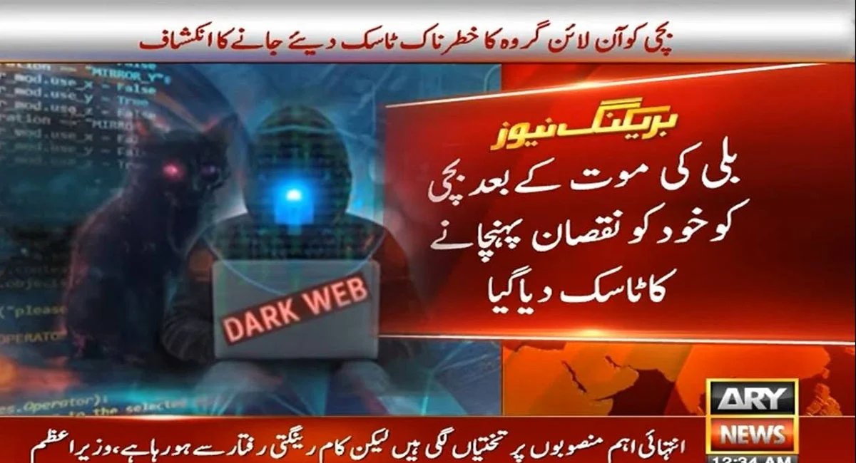 nccia dark web
