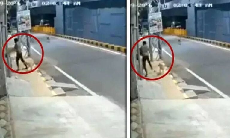 بھارت:آوارہ کتوں نے خاتون کو ہراساں کرنے والے لڑکے کی دوڑیں لگوادیں