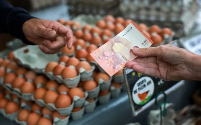 مہنگائی اور سیاسی بے یقینی، فرانسیسی صارفین نے اخراجات کم کردیئے