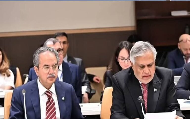 بھارت نے پاکستان پر بے بنیاد الزامات لگائے مسئلہ کشمیر کو غیرحل شدہ چھوڑنا خطرناک ہے: اسحاق ڈار