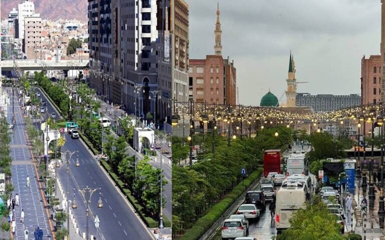 مسجد نبوی ﷺ کے اطراف شجرکاری 10 ہزار مربع میٹر رقبہ سبزہ زار میں تبدیل