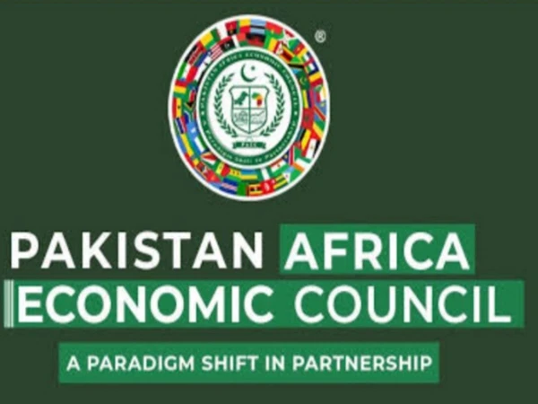 pakistan africa council1788882907 0