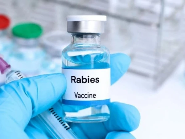 pakistan develops first indigenous anti rabies vac1752645061 0