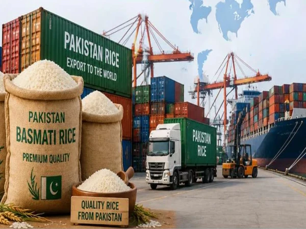 pakistani rice export1790936387 0