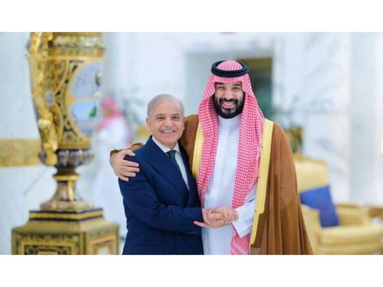 وزیرِ اعظم محمد شہباز شریف کا دورہءِ سعودی عرب
 … وزیراعظم محمد شہباز شریف اور سعودی عرب کے ولی عہد کے درمیان ملاقات