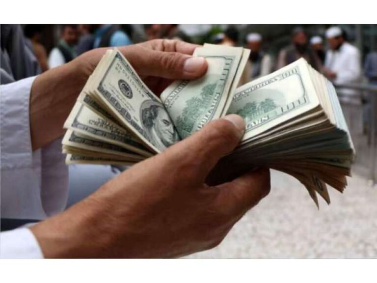 بیرون ملک مقیم پنشنرز کو غیر ملکی کرنسی میں ادائیگیوں کا انکشاف، تفصیلات قومی اسمبلی میں پیش روپے کی قدر میں کمی سے زرِ مبادلہ کا نقصان حکومت نہیں بلکہ پنشنر خود برداشت کرتا ہے. وزارت خزانہ کا تحریری جواب