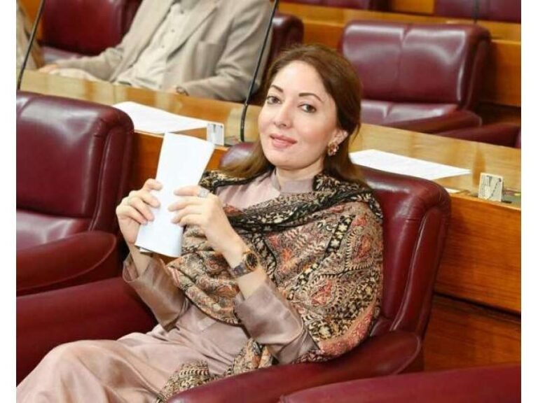 پیپلز پارٹی سندھ کو توڑنے کو کبھی قبول نہیں کرے گی.شرمیلا فاروقی سندھ میں تو پہلے سے بلدیاتی نظام موجود ہے، میئر کو مزید بااختیار ہونا چاہیے تو اسمبلی میں ترمیم لائیں، لسانی بنیاد پر کراچی کو صوبہ بنانے کی ایم کیوایم کی خواہش ہے،ایم کیوایم صوبوں کی بات کرتی ہے تو اس میں لسانیت اور سیاست کی بوآتی ہے.پیپلزپارٹی راہنما کی ،نجی ٹی وی سے گفتگو