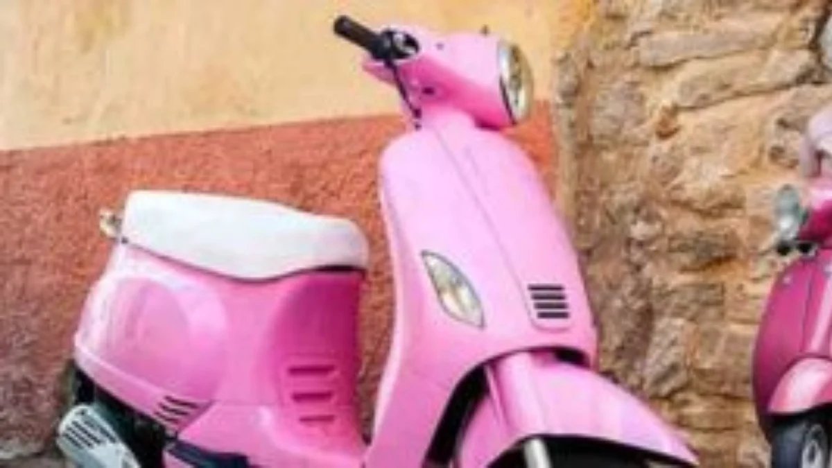 pink Scotty