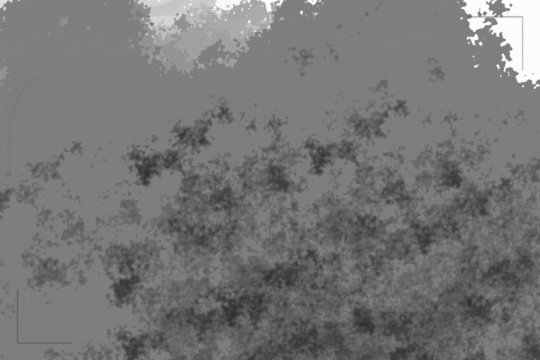 جموں و کشمیر پولیس نے سرینگر میں ایک اور مؤقر قومی اخبار کے صحافی کو طلب کیا 42 press freedom 5